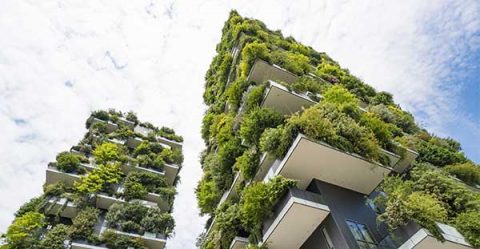 Green Architecture On