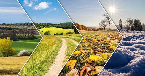 Seasonal Energy Tips 4 Season image