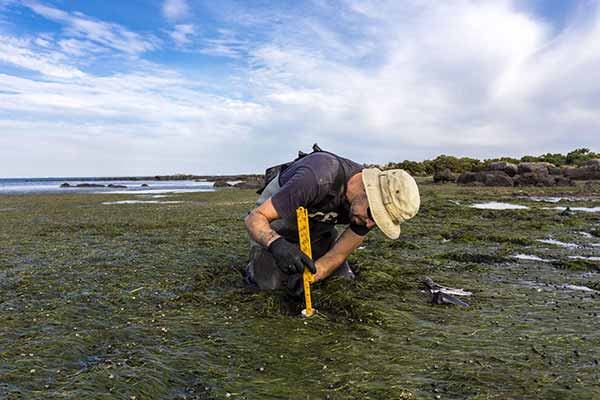 Climate Scientists at Work