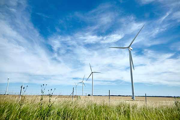 Iowa Renewables Project Image of Windmills in Field
