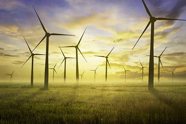 Wind Farm Project Going Green | Windmills image