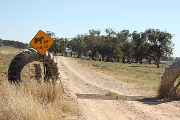 Renewables Installation| Australian Farming Photo