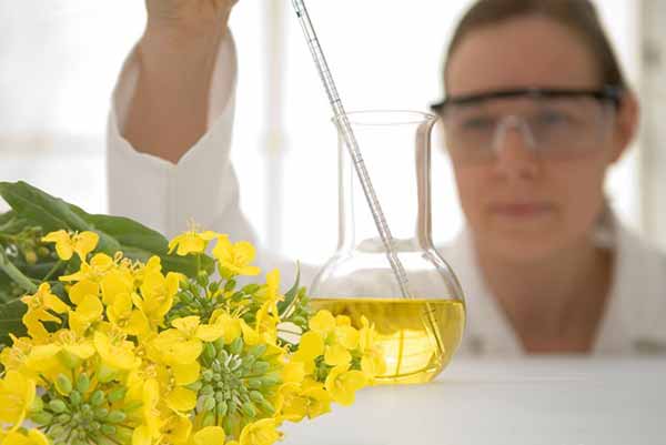 Biodiesel Being Created in Labratory