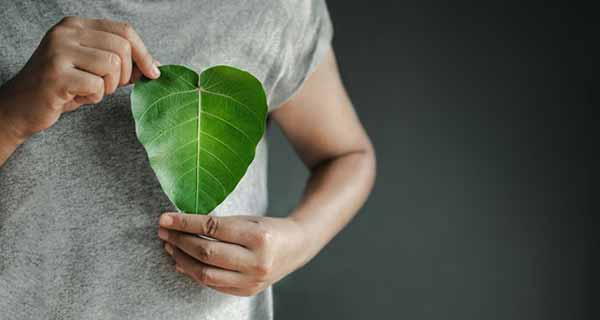 Biofuel as Renewable and Sustainable Energy | Illustration of Man Holding Leaf