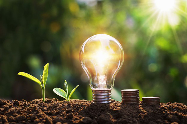 Reduce My Home Energy Usage