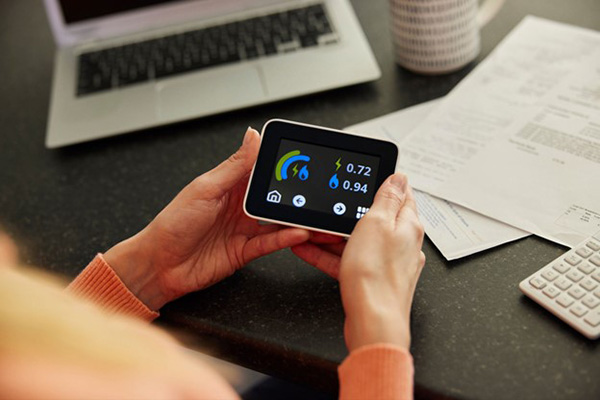 Whole Home’s Energy Usage Monitor