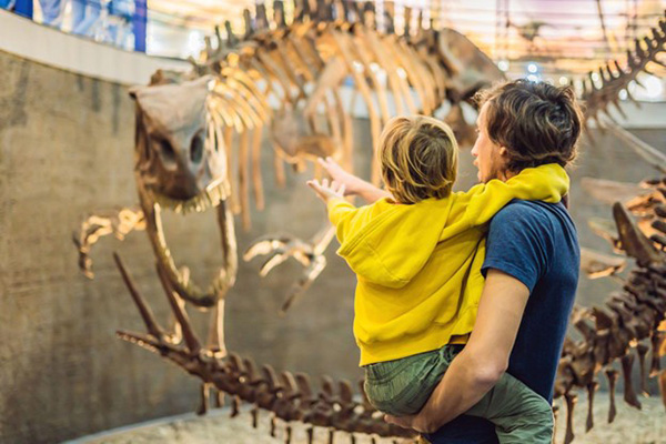 Lubbock, Texas Museum Family Looks at Dinosaur