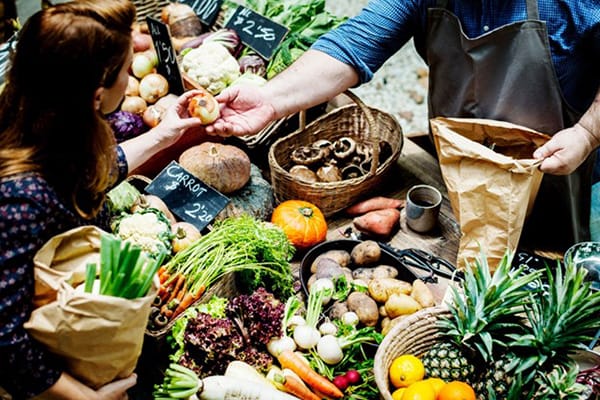 Eco-friendly apps Help Energy Efficiency Woman With Fresh Vegetables Eco-friendly apps Help Energy Efficiency Woman With Fresh Vegetables