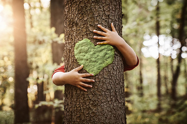 economic and environmental impact of vpps child hugs tree
