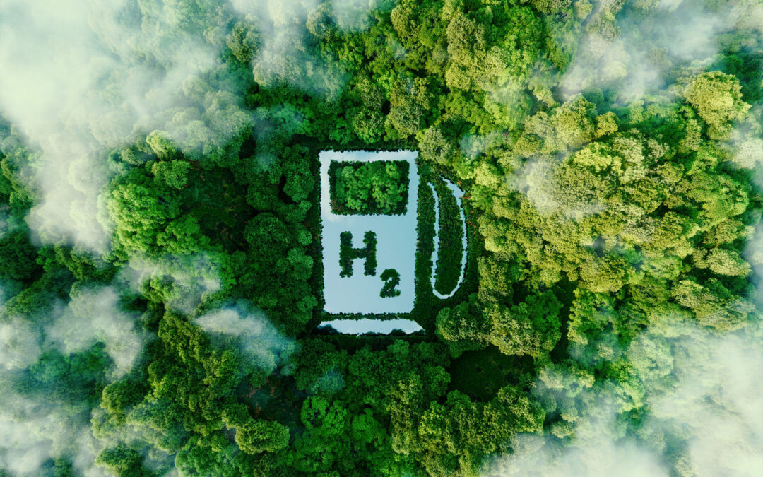 Power-to-X: Turning Excess Electricity into Unlimited Possibilities