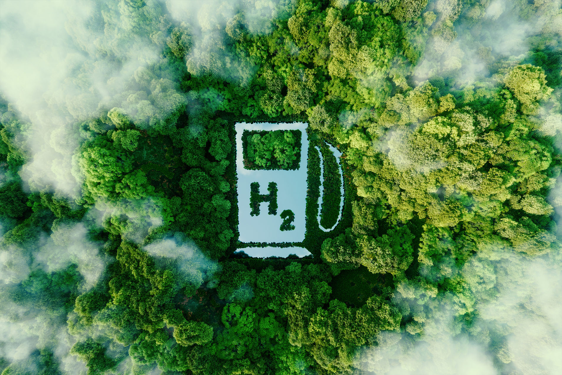 H2 Pump in a Forest