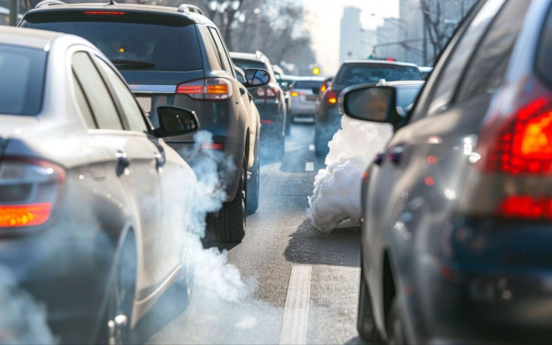 Carbon Footprint: What It Is, Why It Matters, & How to Reduce It