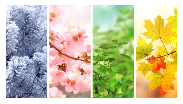 a four panel image, with each panel showing the weather during each season